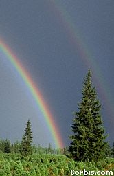 http://www.mwit.ac.th/~physicslab/content_01/sutut/rainbow.jpg