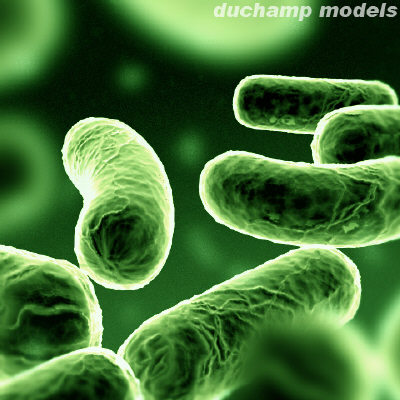 www.vedicsciences.net/design/bacteria5.jpg