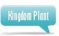 kingdom plant