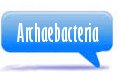 Subkingdom Archaebacteria