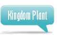  Kingdom Plant