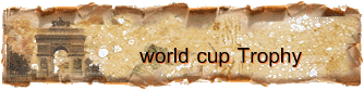 world cup Trophy