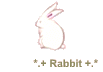 *.+ Rabbit +.*