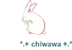 *.+ chiwawa +.*