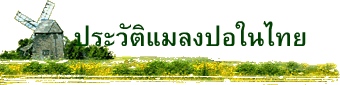   ประวัติแมลงปอในไทย