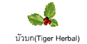บัวบก(Tiger Herbal)