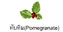 ทับทิม(Pomegranate)