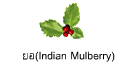 ยอ(Indian Mulberry)