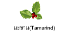 มะขาม(Tamarind)