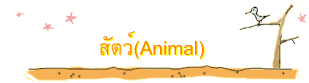 สัตว์(Animal)