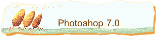 Photoahop 7.0
