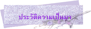 ประวัติความเป็นมา